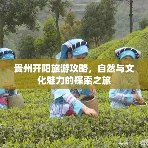 贵州开阳旅游攻略，自然与文化魅力的探索之旅