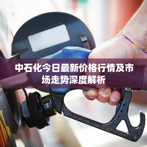 中石化今日最新价格行情及市场走势深度解析