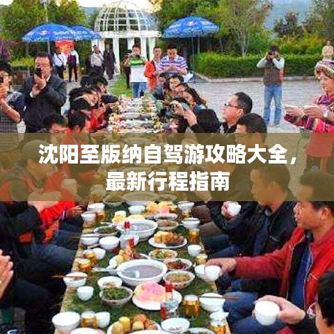 2025年6月14日 第11页
