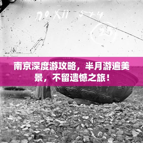2025年6月14日 第8页
