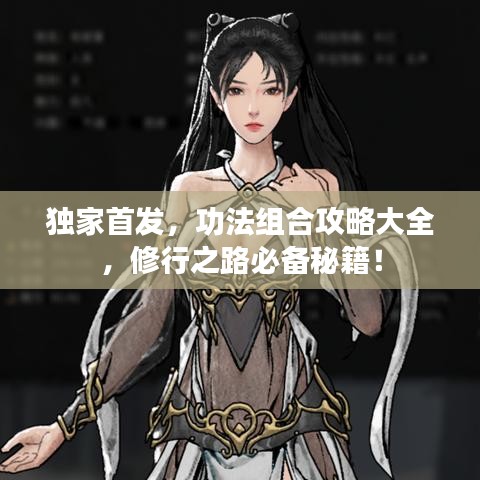 独家首发，功法组合攻略大全，修行之路必备秘籍！