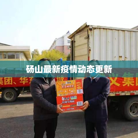 砀山最新疫情动态更新