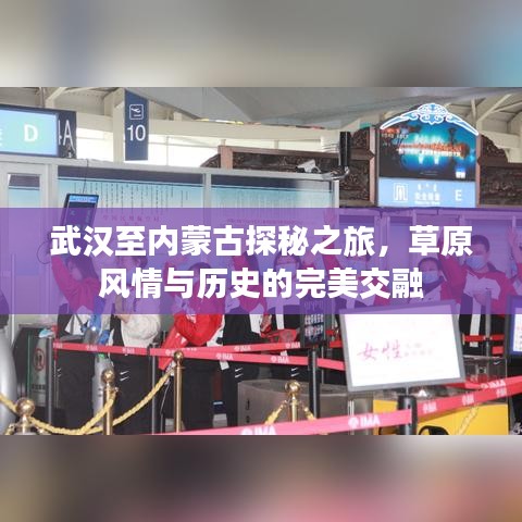 武汉至内蒙古探秘之旅，草原风情与历史的完美交融