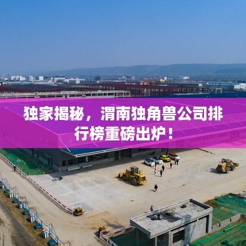 独家揭秘，渭南独角兽公司排行榜重磅出炉！