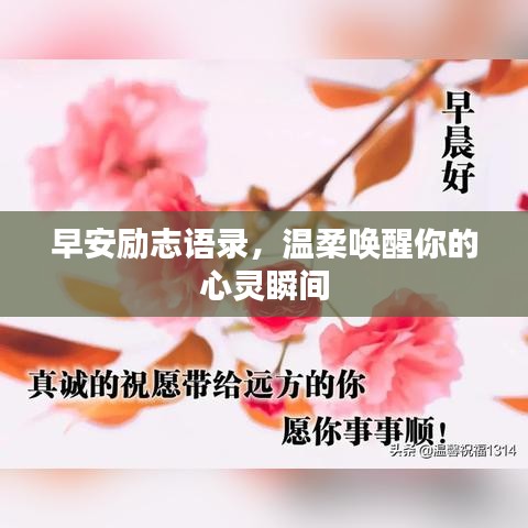 早安励志语录，温柔唤醒你的心灵瞬间