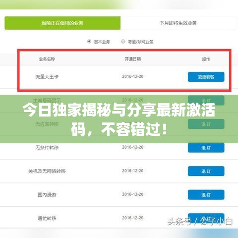 今日独家揭秘与分享最新激活码，不容错过！