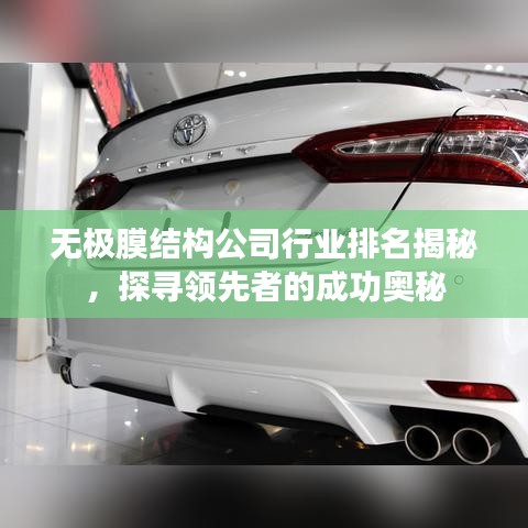 无极膜结构公司行业排名揭秘，探寻领先者的成功奥秘