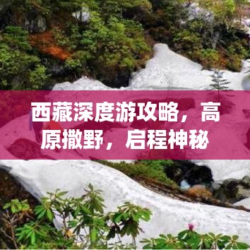 西藏深度游攻略，高原撒野，启程神秘探索之旅