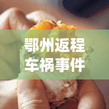 2025年6月 第6页