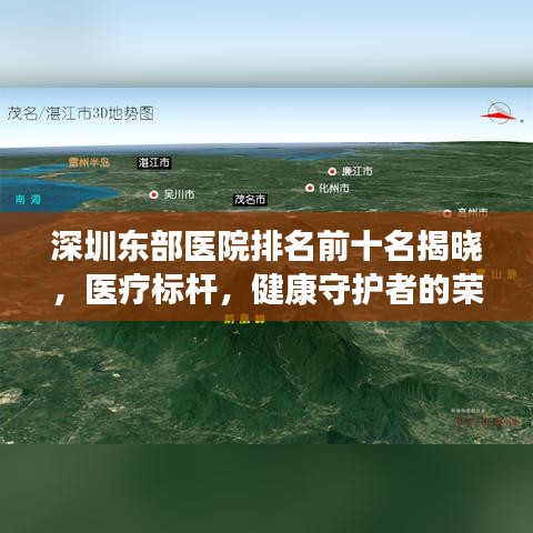 深圳东部医院排名前十名揭晓，医疗标杆，健康守护者的荣耀榜单
