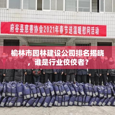 榆林市园林建设公司排名揭晓，谁是行业佼佼者？