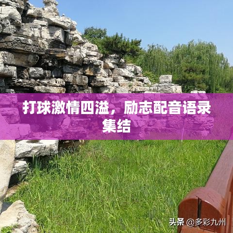 打球激情四溢，励志配音语录集结