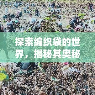 探索编织袋的世界，揭秘其奥秘与用途