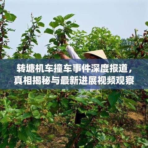 转塘机车撞车事件深度报道，真相揭秘与最新进展视频观察