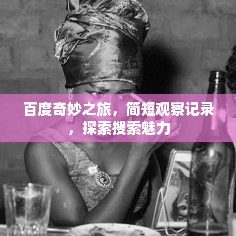 百度奇妙之旅，简短观察记录，探索搜索魅力
