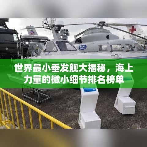 世界最小垂发舰大揭秘，海上力量的微小细节排名榜单