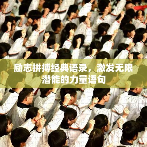 励志拼搏经典语录，激发无限潜能的力量语句