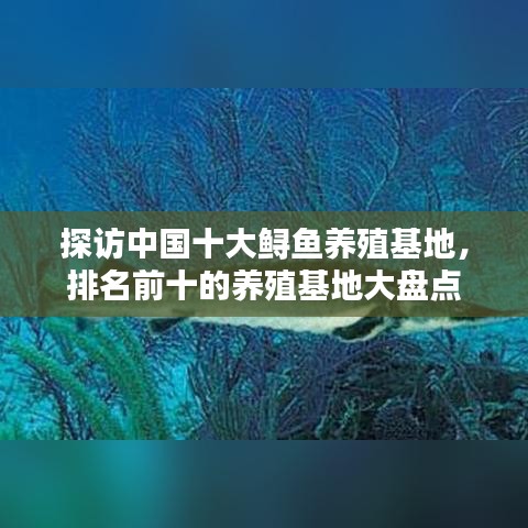 探访中国十大鲟鱼养殖基地，排名前十的养殖基地大盘点