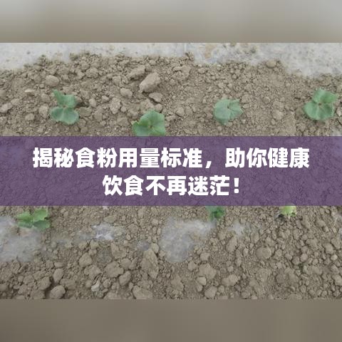 揭秘食粉用量标准，助你健康饮食不再迷茫！