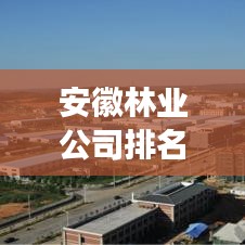 安徽林业公司排名重磅揭晓！权威榜单揭秘行业巨头