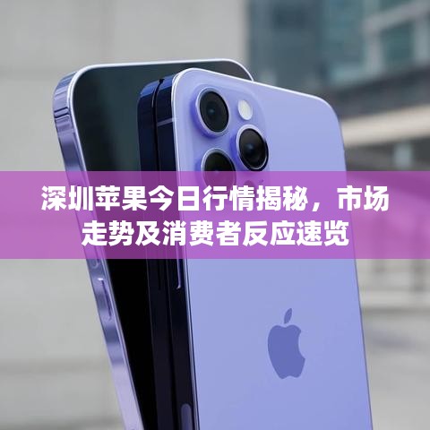 深圳苹果今日行情揭秘，市场走势及消费者反应速览