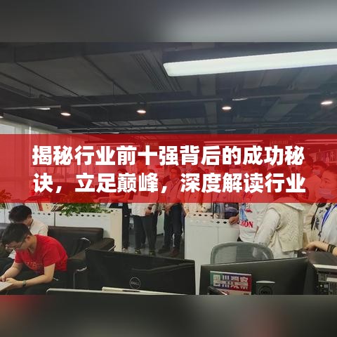 揭秘行业前十强背后的成功秘诀，立足巅峰，深度解读行业巨头之道