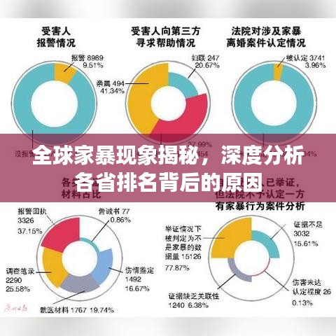 全球家暴现象揭秘，深度分析各省排名背后的原因
