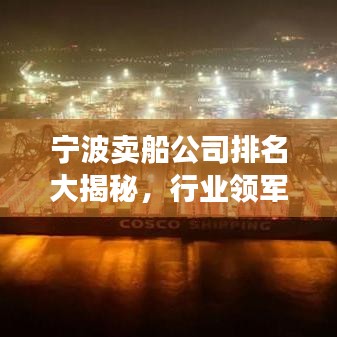 宁波卖船公司排名大揭秘，行业领军者一览无余