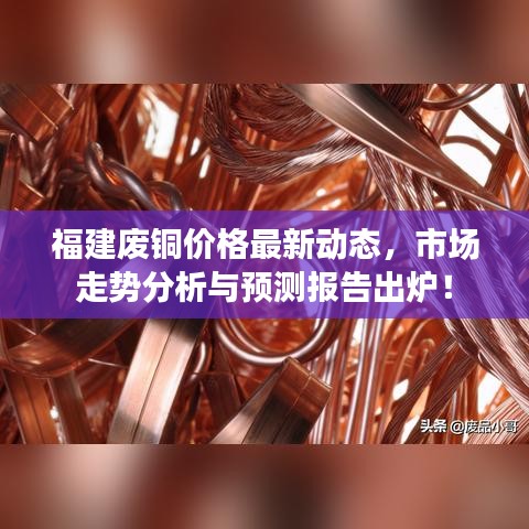 福建废铜价格最新动态，市场走势分析与预测报告出炉！