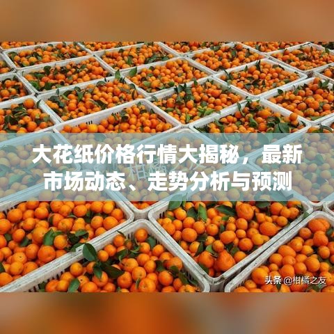 大花纸价格行情大揭秘，最新市场动态、走势分析与预测
