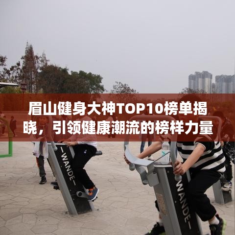 眉山健身大神TOP10榜单揭晓，引领健康潮流的榜样力量，掀起健身热潮！