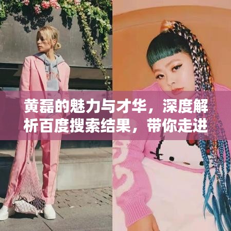 黄磊的魅力与才华，深度解析百度搜索结果，带你走进他的世界
