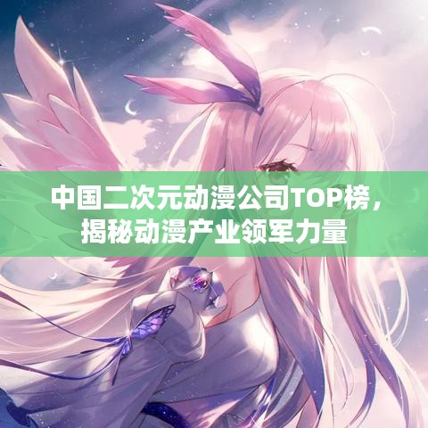 中国二次元动漫公司TOP榜，揭秘动漫产业领军力量