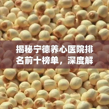 揭秘宁德养心医院排名前十榜单，深度解读与探讨