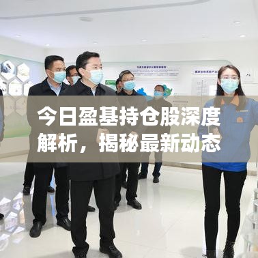 今日盈基持仓股深度解析，揭秘最新动态与策略布局