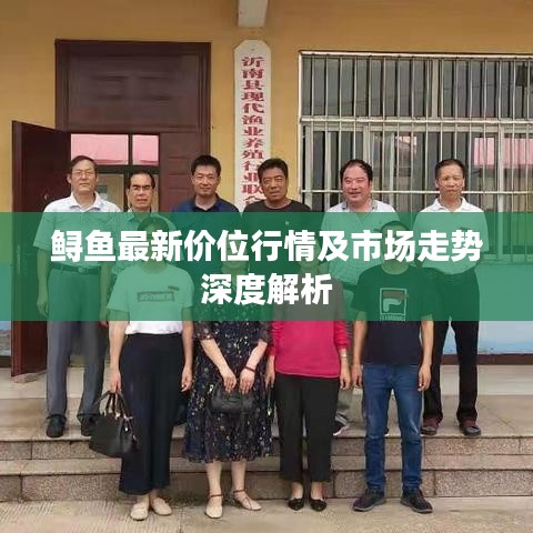 鲟鱼最新价位行情及市场走势深度解析
