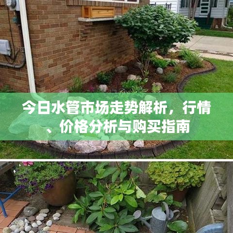 今日水管市场走势解析，行情、价格分析与购买指南