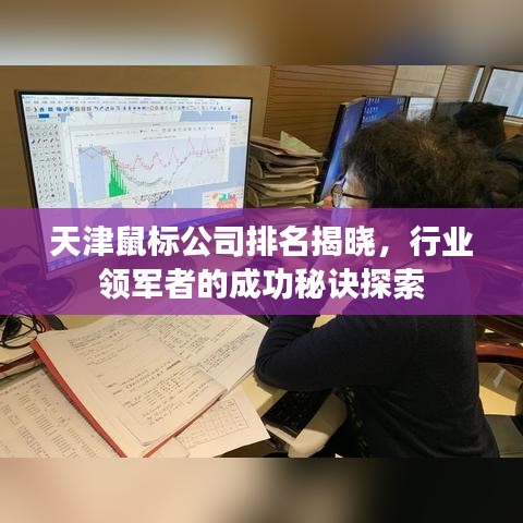 天津鼠标公司排名揭晓，行业领军者的成功秘诀探索