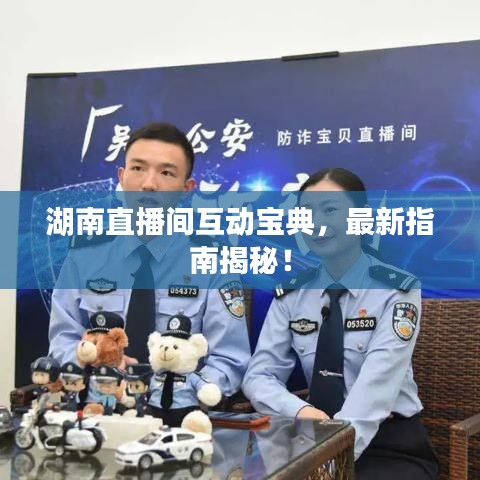 湖南直播间互动宝典，最新指南揭秘！