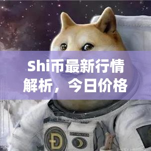 Shi币最新行情解析，今日价格重磅更新