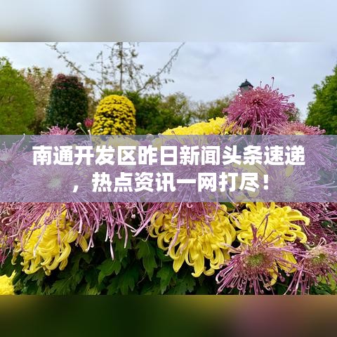 南通开发区昨日新闻头条速递，热点资讯一网打尽！