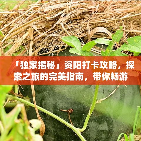 「独家揭秘」资阳打卡攻略，探索之旅的完美指南，带你畅游资阳！