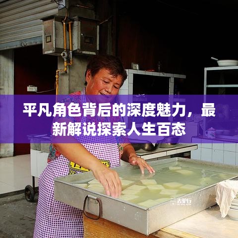 平凡角色背后的深度魅力，最新解说探索人生百态
