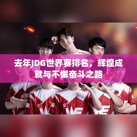 去年JDG世界赛排名，辉煌成就与不懈奋斗之路