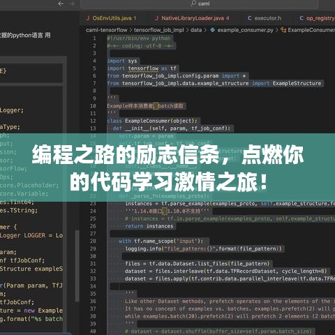 编程之路的励志信条，点燃你的代码学习激情之旅！