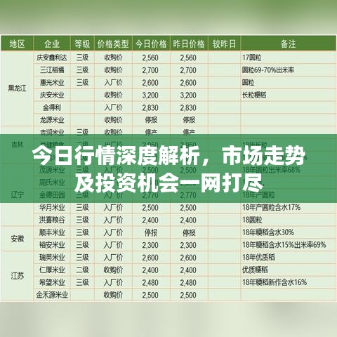 今日行情深度解析，市场走势及投资机会一网打尽