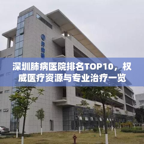 深圳肺病医院排名TOP10，权威医疗资源与专业治疗一览