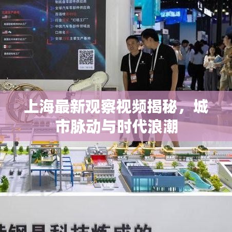 上海最新观察视频揭秘，城市脉动与时代浪潮
