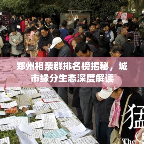 郑州相亲群排名榜揭秘，城市缘分生态深度解读