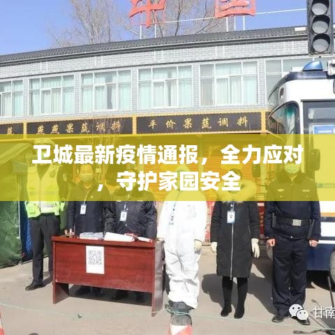 卫城最新疫情通报，全力应对，守护家园安全